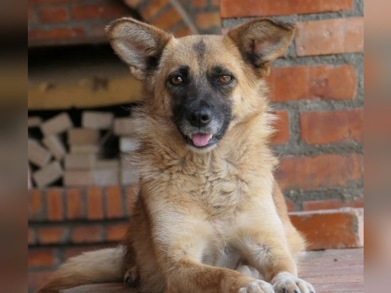 Liebe und sanfte Flurina sucht ihre Menschen