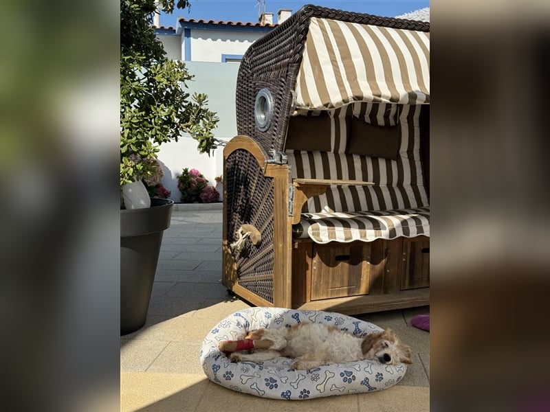 FINLEY-wahrer Engel, tapferer Held