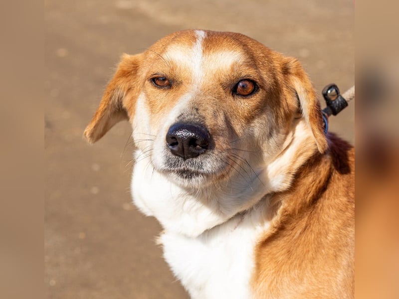 Norika, passt in jede Familie
