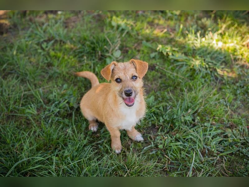 EMMA - Kleine Wirbelwind-Prinzessin sucht ihr Traumzuhause