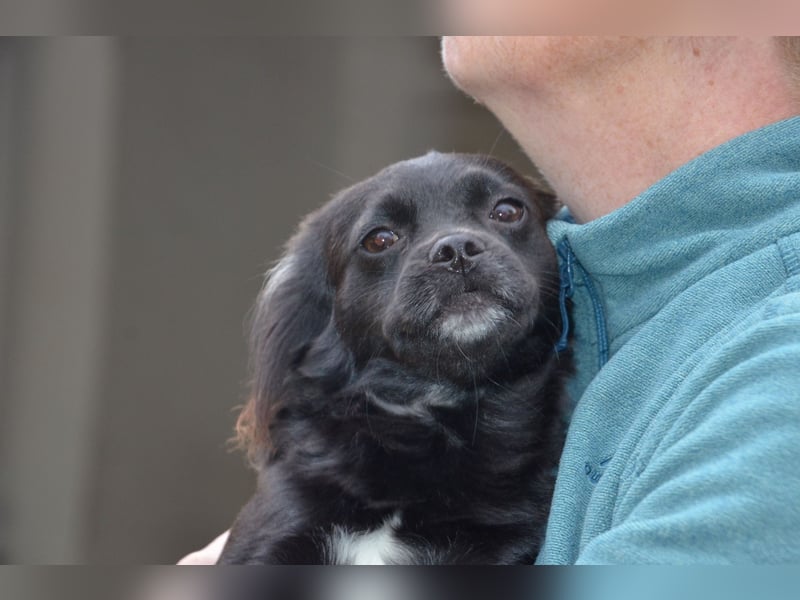 Bezaubernde Marlenka sucht ihr Zuhause