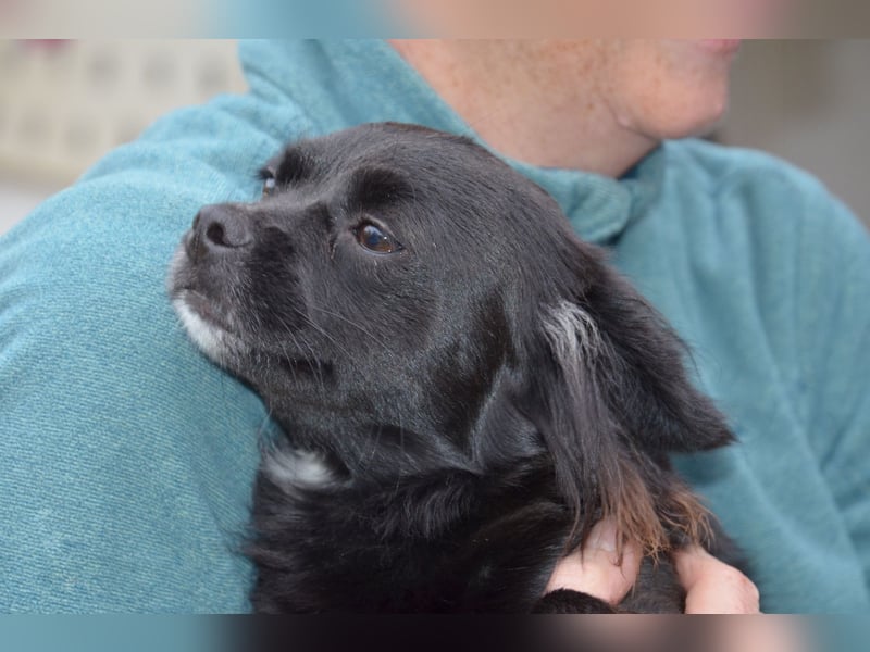 Bezaubernde Marlenka sucht ihr Zuhause