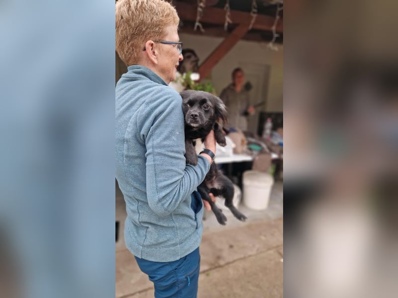 Bezaubernde Marlenka sucht ihr Zuhause