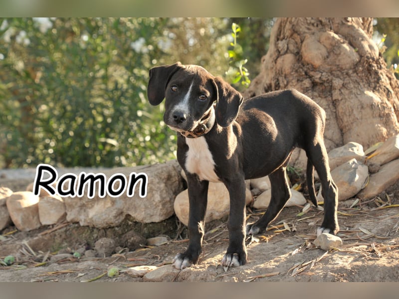 Zeigen Sie Ramon wie schön das Leben sein kann?
