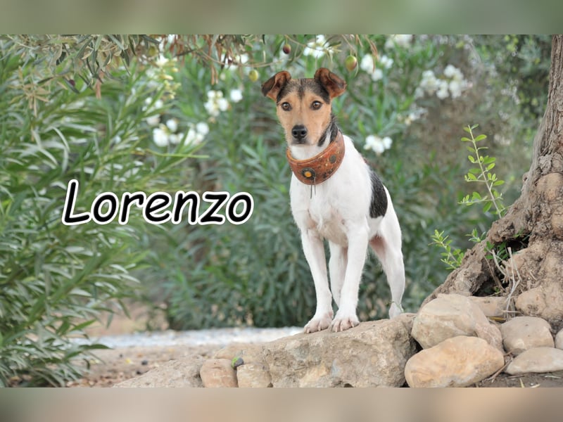 Willst du Lorenzo an deiner Seite haben?