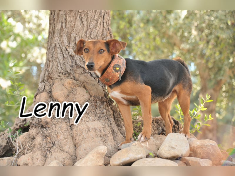 Zeigst du Lenny wie schön das Hundeleben sein kann?