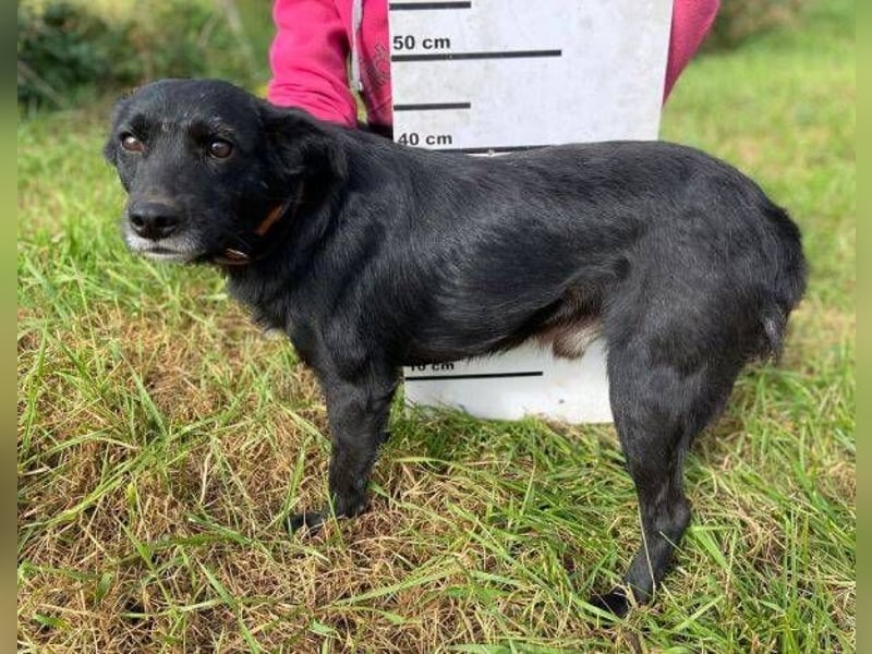 BLACKY soll es endlich schön haben