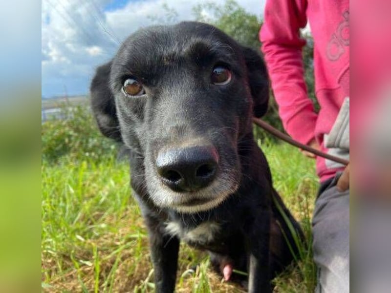 BLACKY soll es endlich schön haben