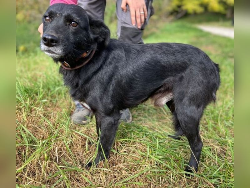 BLACKY soll es endlich schön haben