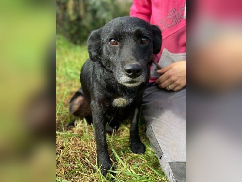 BLACKY soll es endlich schön haben