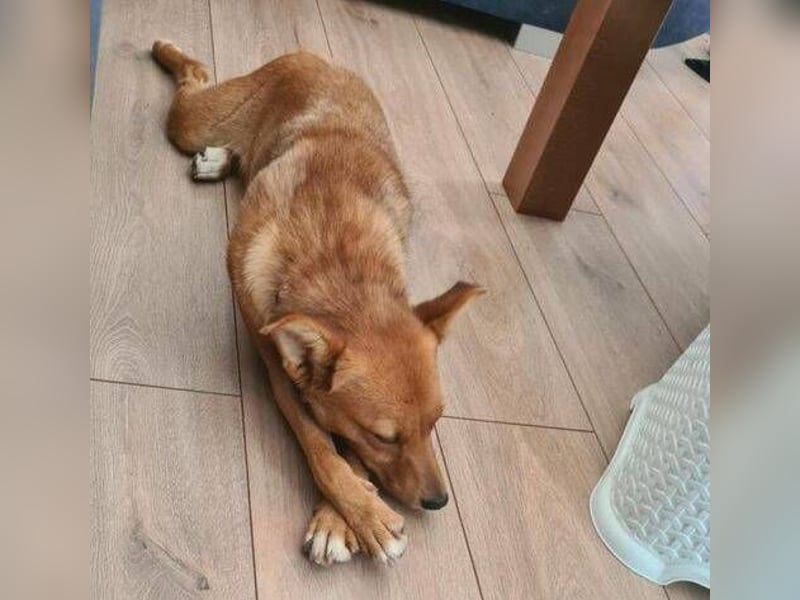 RUBY 2 ist sehr süß