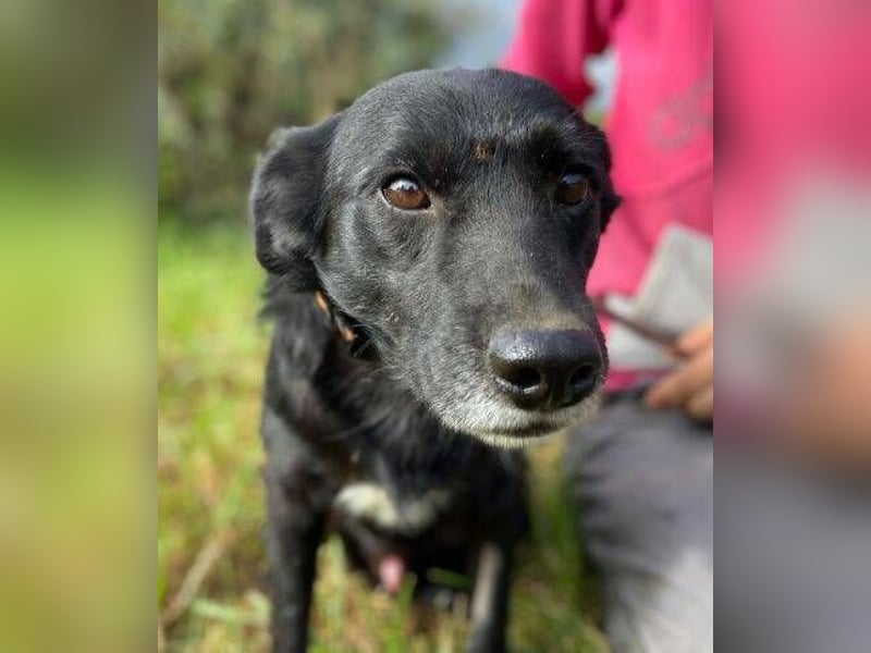 BLACKY soll es endlich schön haben