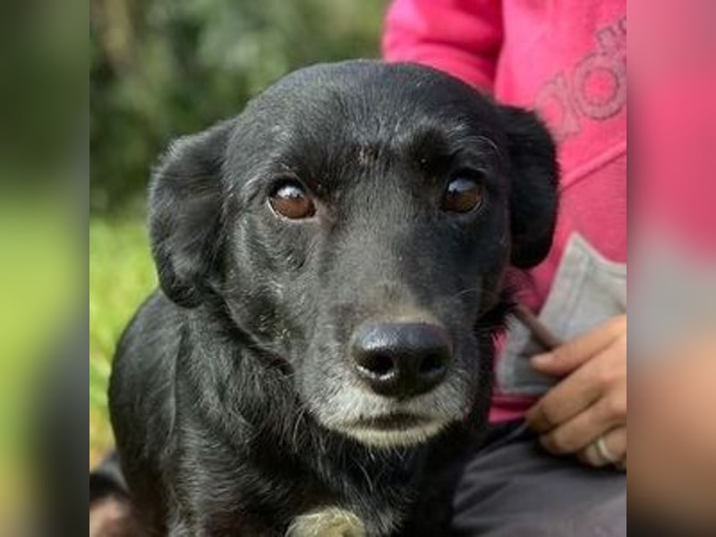 BLACKY soll es endlich schön haben