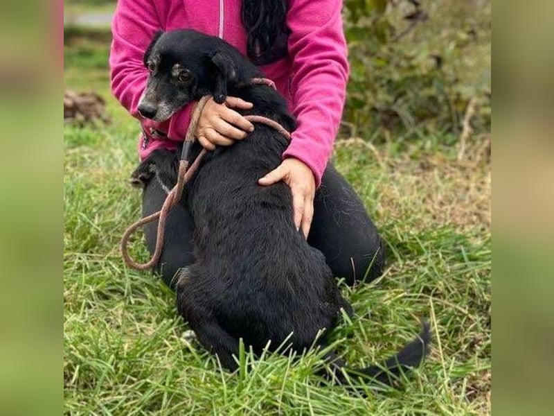 LEYA  soll Liebe und Glück erfahren