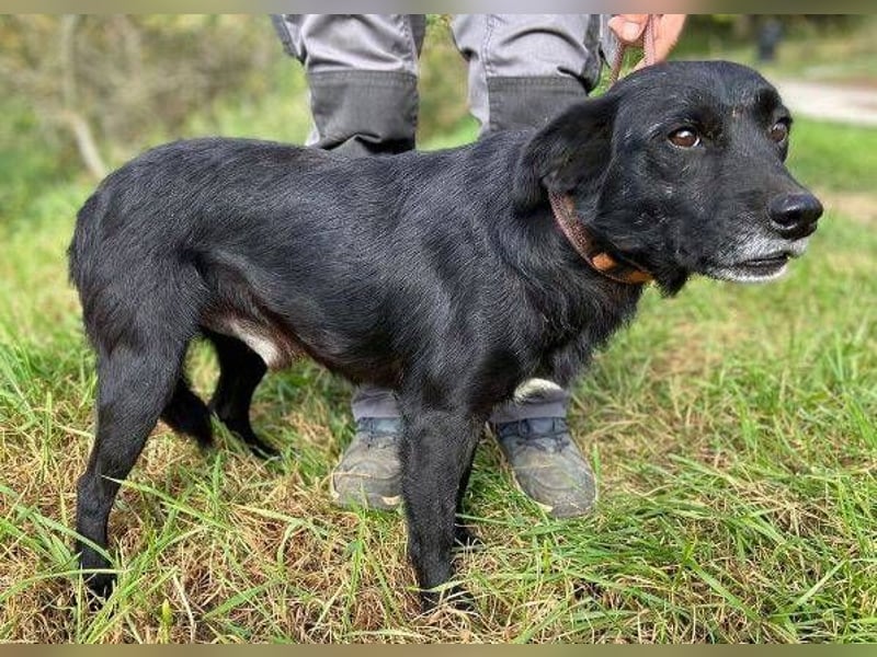 BLACKY soll es endlich schön haben