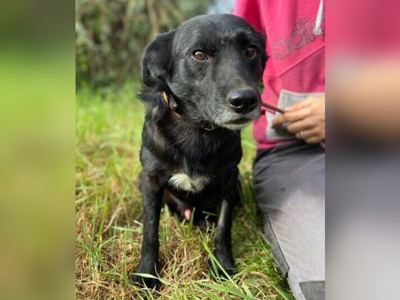 BLACKY soll es endlich schön haben