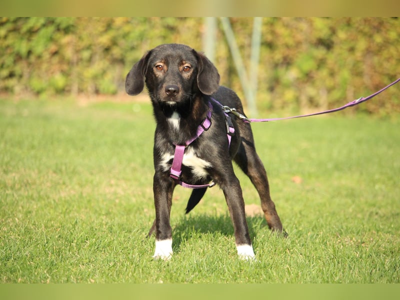 Hallo zusammen! Ich bin Quila!