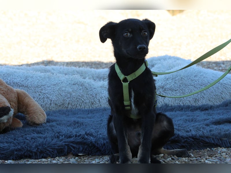 Candino unser Sonnenschein...