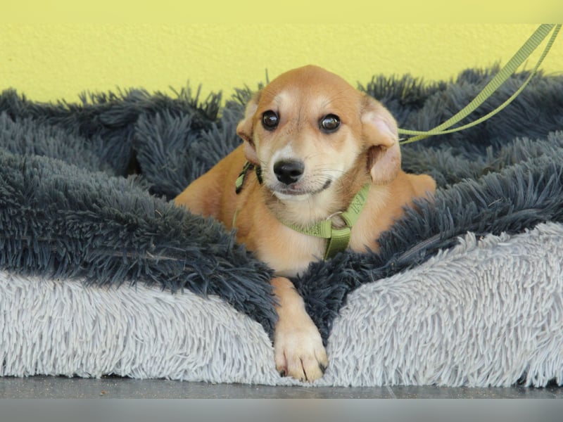 Anrai unser kleiner Prinz...