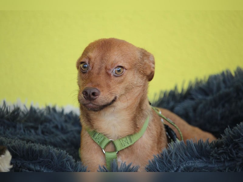 Hallo zusammen! Ich bin Amaro! Hallo zusammen! Ich bin Amaro!