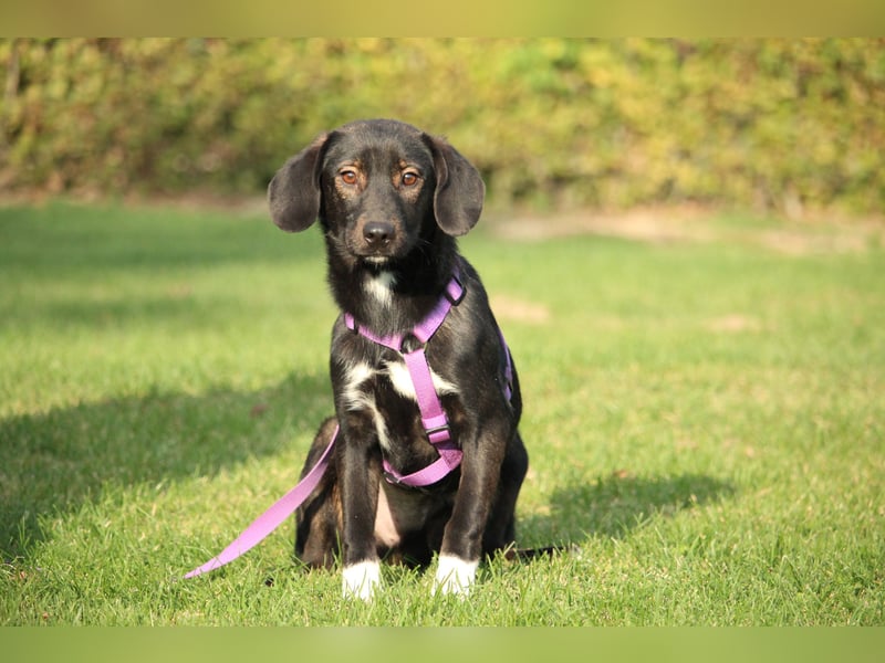 Hallo zusammen! Ich bin Quila!