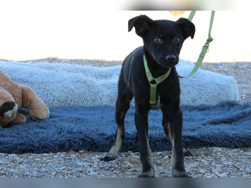 Candino unser Sonnenschein...