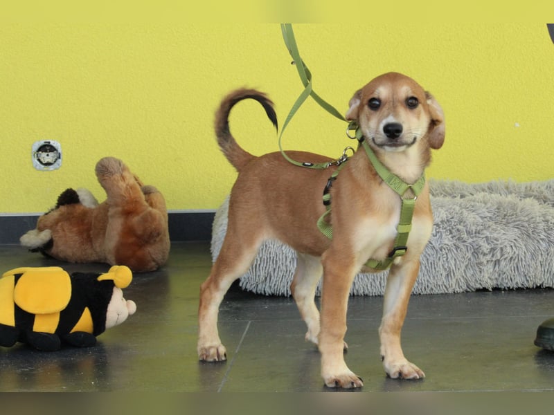 Anrai unser kleiner Prinz...