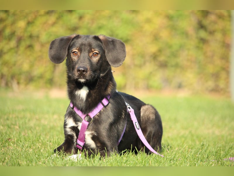 Hallo zusammen! Ich bin Quila!