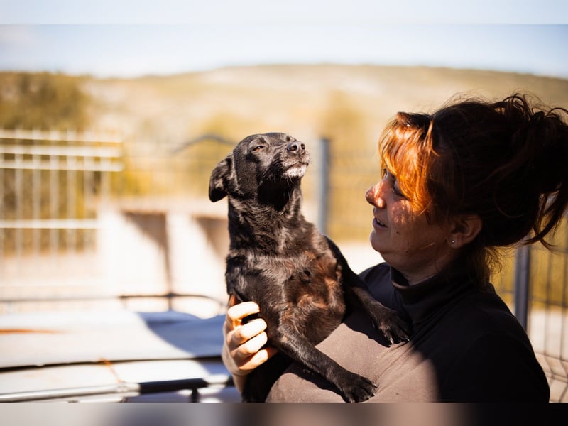 Zora: aufgeschlossen und treu!