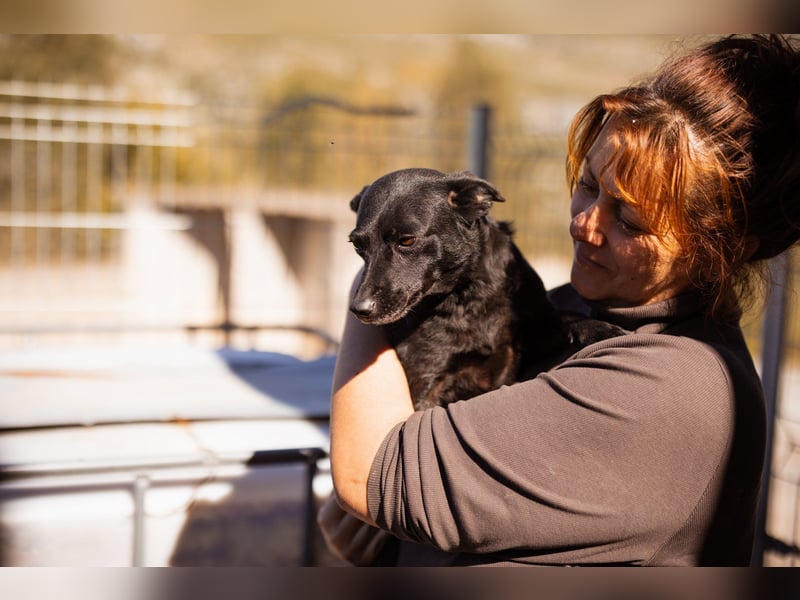 Zora: aufgeschlossen und treu!