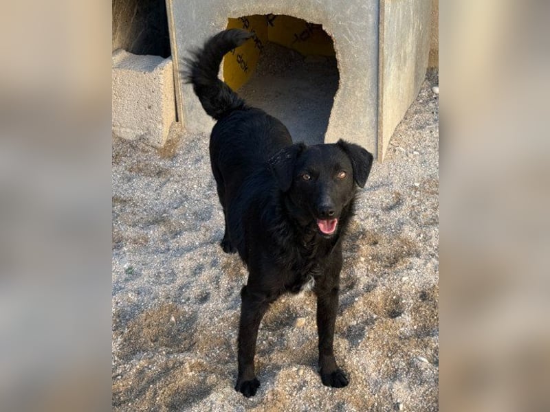 FREYA❤️zarte Seele zum Liebhaben wartet schon in 01640 Coswig! FREYA❤️zarte Seele zum Liebhaben wartet schon in 01640 Coswig!