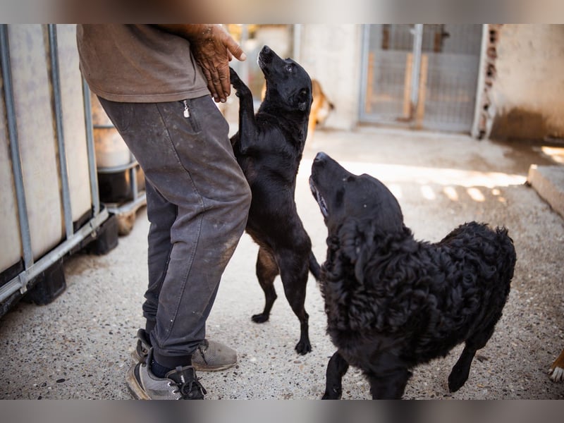 Zora: aufgeschlossen und treu!