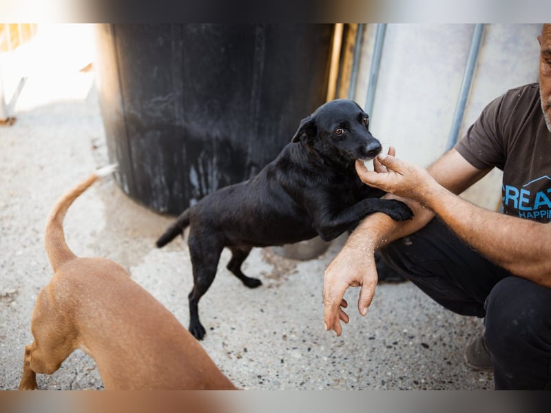 Zora: aufgeschlossen und treu!