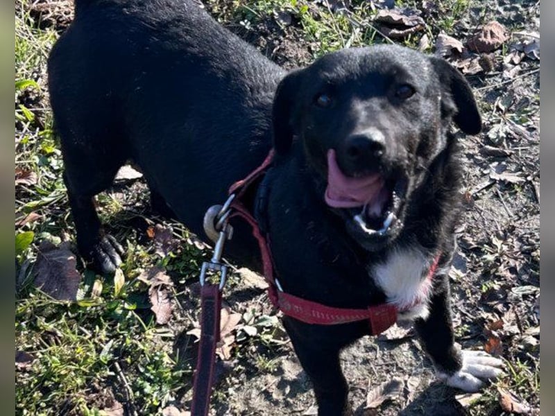♥Heidi♥ kleine süße, verschmuste Zuckerpuppe