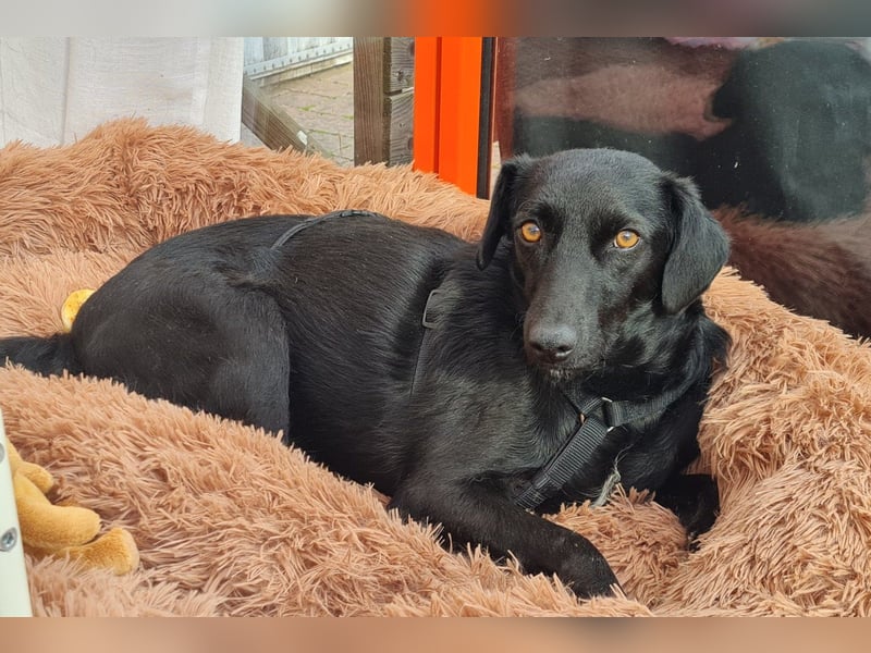 FREYA❤️zarte Seele zum Liebhaben wartet schon in 01640 Coswig! FREYA❤️zarte Seele zum Liebhaben wartet schon in 01640 Coswig!