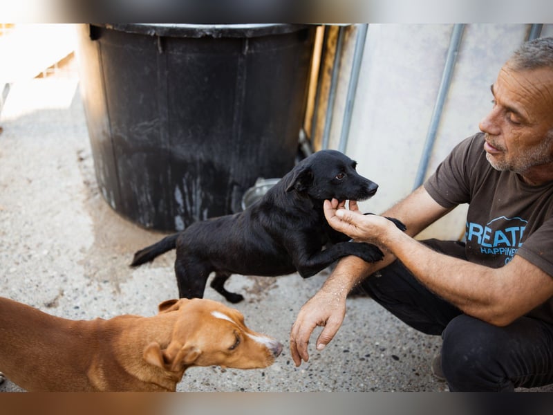 Zora: aufgeschlossen und treu!