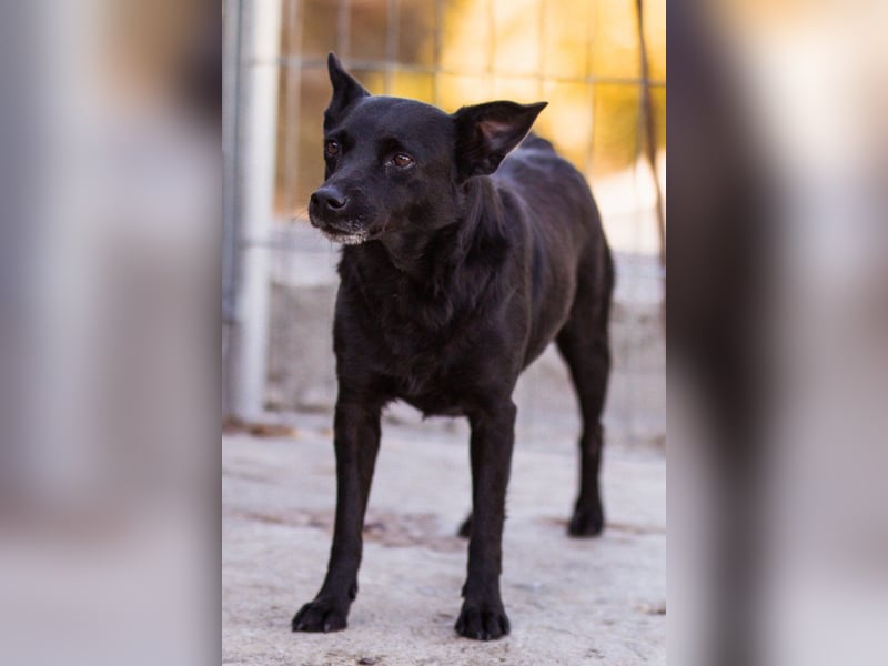 Zora: aufgeschlossen und treu!