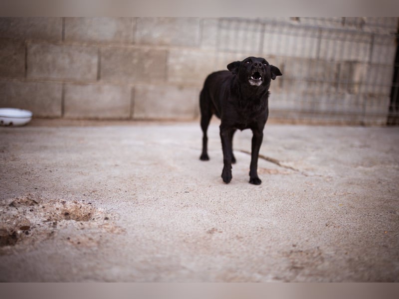 Zora: aufgeschlossen und treu!