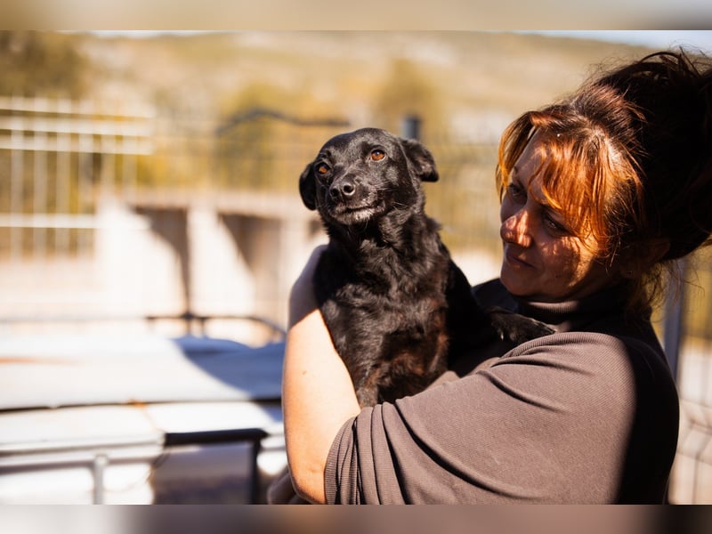 Zora: aufgeschlossen und treu!