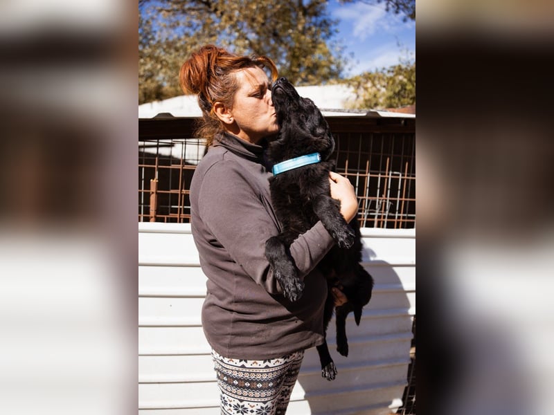 Jungrüde ♥Rhys♥ schnuckeliger Racker