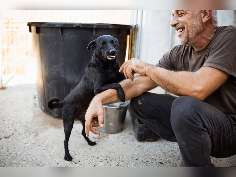 Zora: aufgeschlossen und treu!