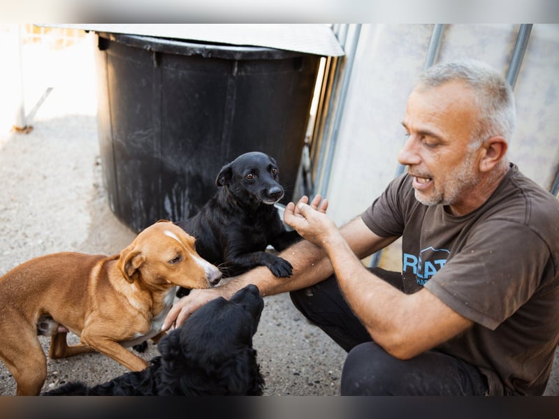 Zora: aufgeschlossen und treu!