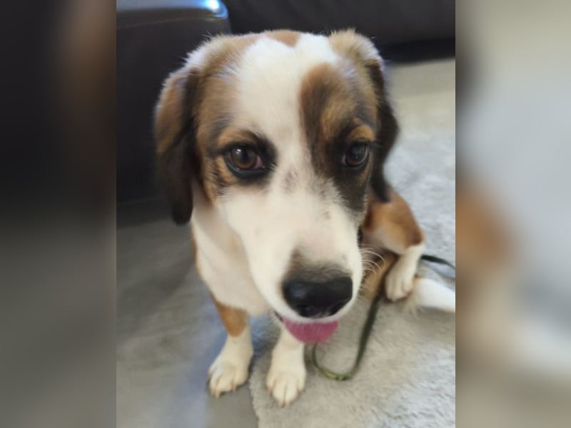 LANA❤️verspielt, sanft und voller Vertrauen: ein Herz für Groß und Klein!