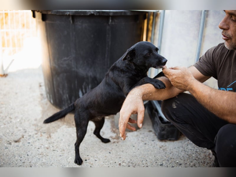 Zora: aufgeschlossen und treu!