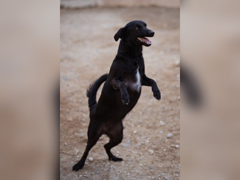 FREYA❤️zarte Seele zum Liebhaben wartet schon in 01640 Coswig! FREYA❤️zarte Seele zum Liebhaben wartet schon in 01640 Coswig!