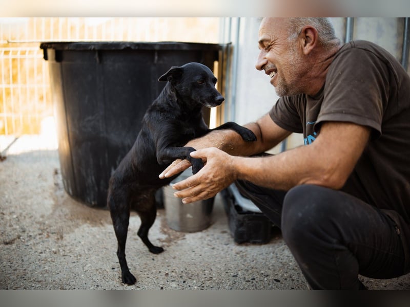 Zora: aufgeschlossen und treu!