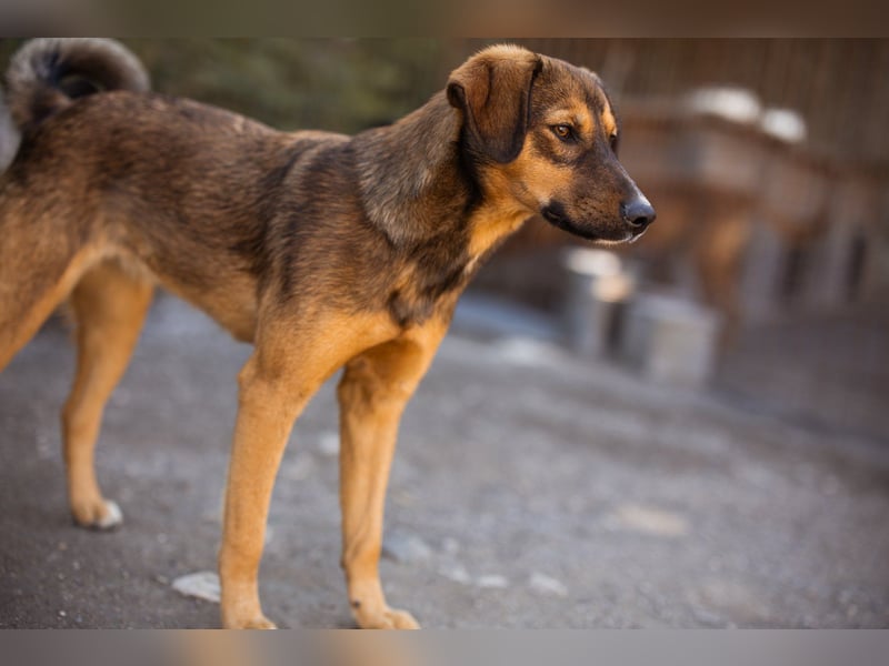 Fellschnute ♥Fina♥ sucht ihr großes Glück