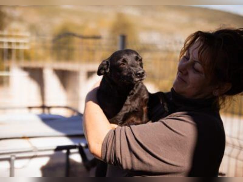 Zora: aufgeschlossen und treu!