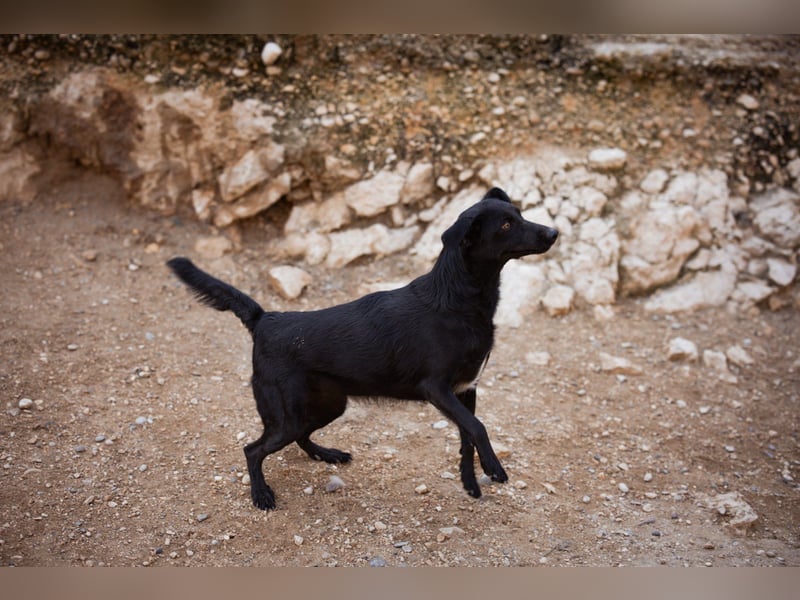 FREYA❤️zarte Seele zum Liebhaben wartet schon in 01640 Coswig! FREYA❤️zarte Seele zum Liebhaben wartet schon in 01640 Coswig!