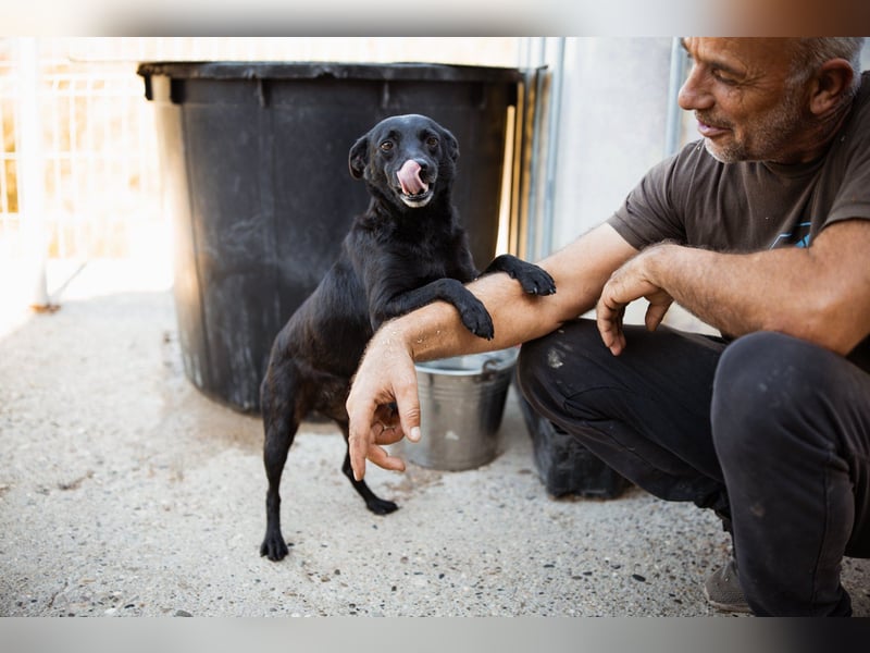 Zora: aufgeschlossen und treu!